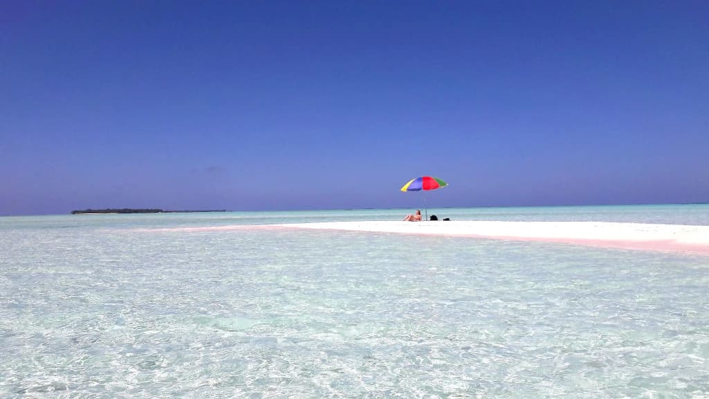 Island Life Maldives Retreat & Spa - photo 10