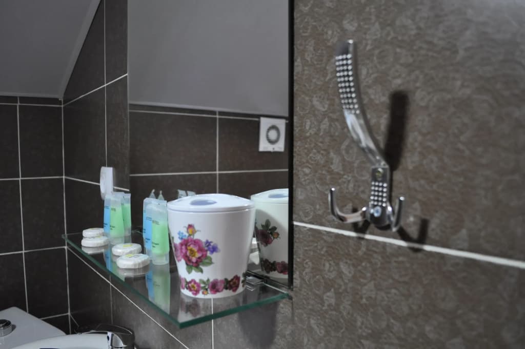 Tiflis Metekhi Hotel - photo 8