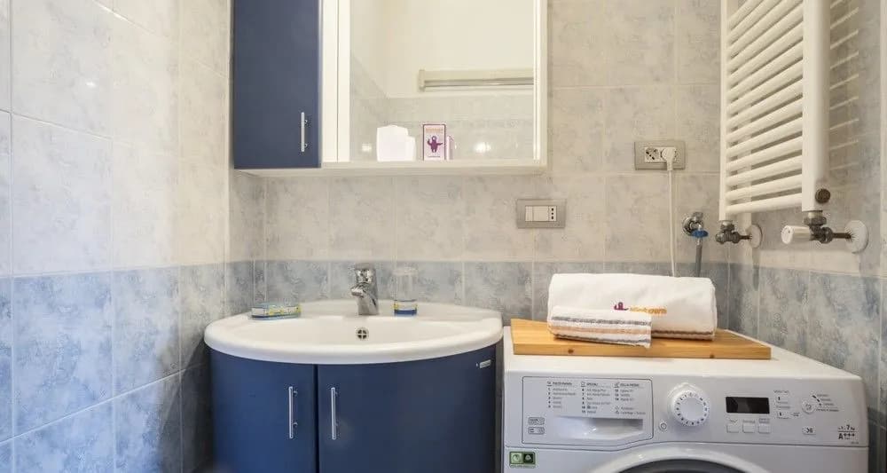 North Milan Flat - photo 7