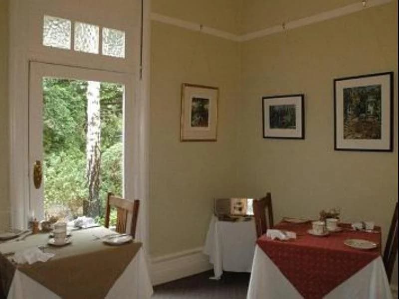 Broomelea Bed & Breakfast - photo 11