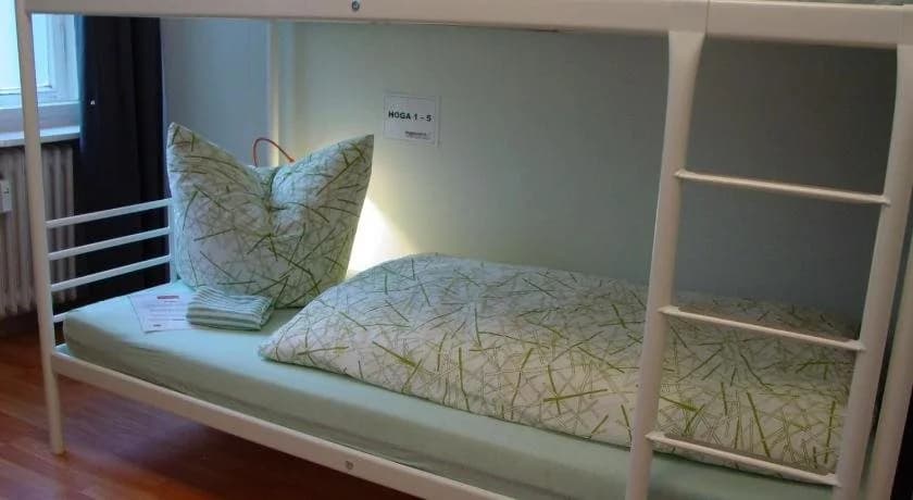 My Gayhostel - photo 5