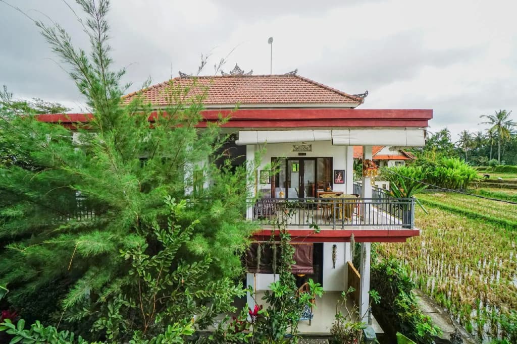 Molecha Guest House - photo 10