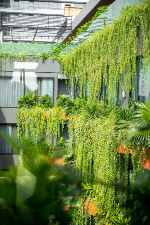 Chi House Danang - photo 14