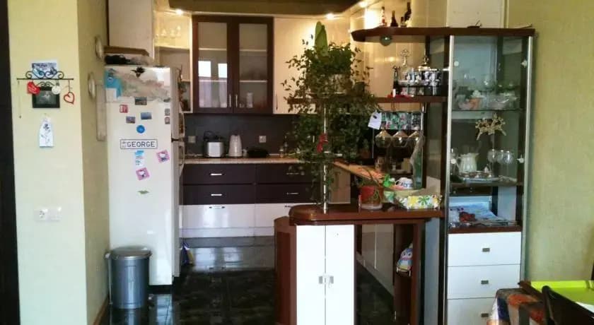 Green Apartmnet on Shenchenko - photo 8