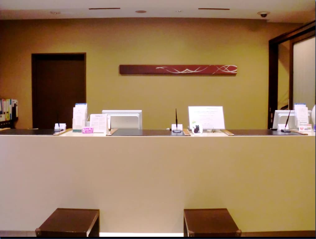 APA Hotel Kamata Ekimae - photo 19