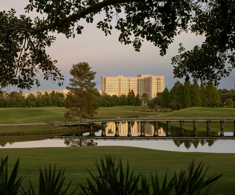 Waldorf Astoria Orlando - An Official Walt Disney World® Hotel - photo 29