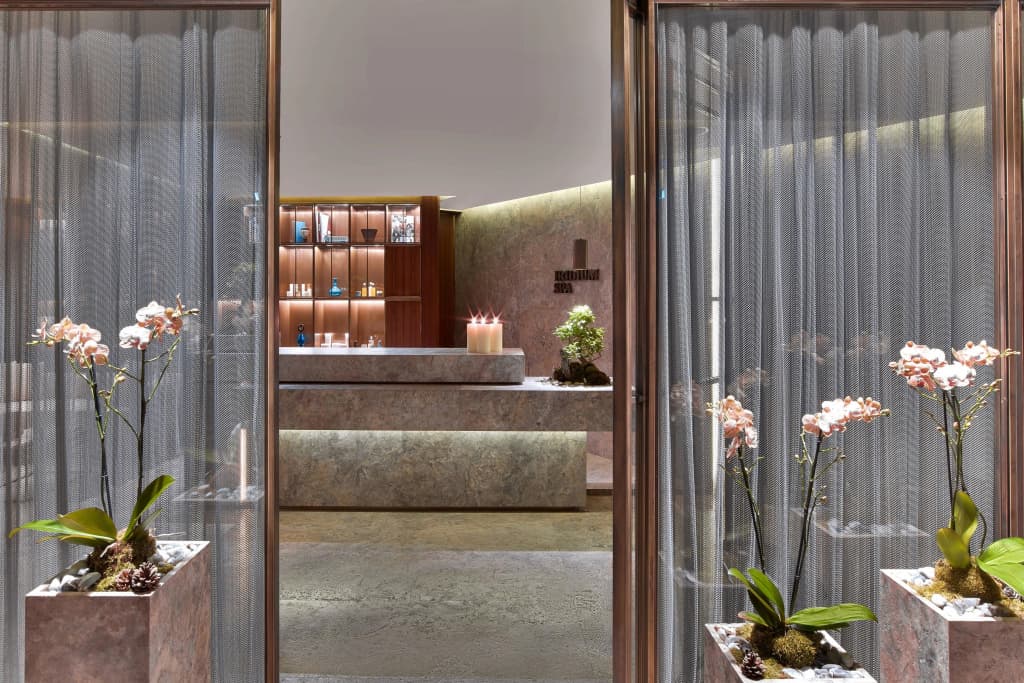 The St. Regis Istanbul - photo 43