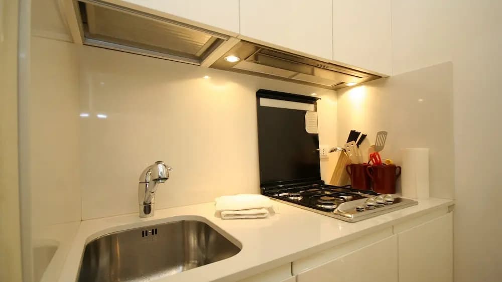 Rental In Rome Boschetto - photo 14