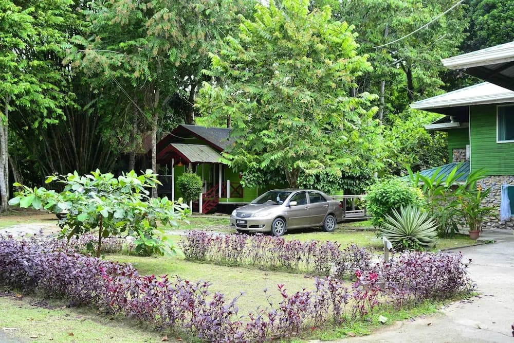 Sukau Greenview Bed & Breakfast - photo 9