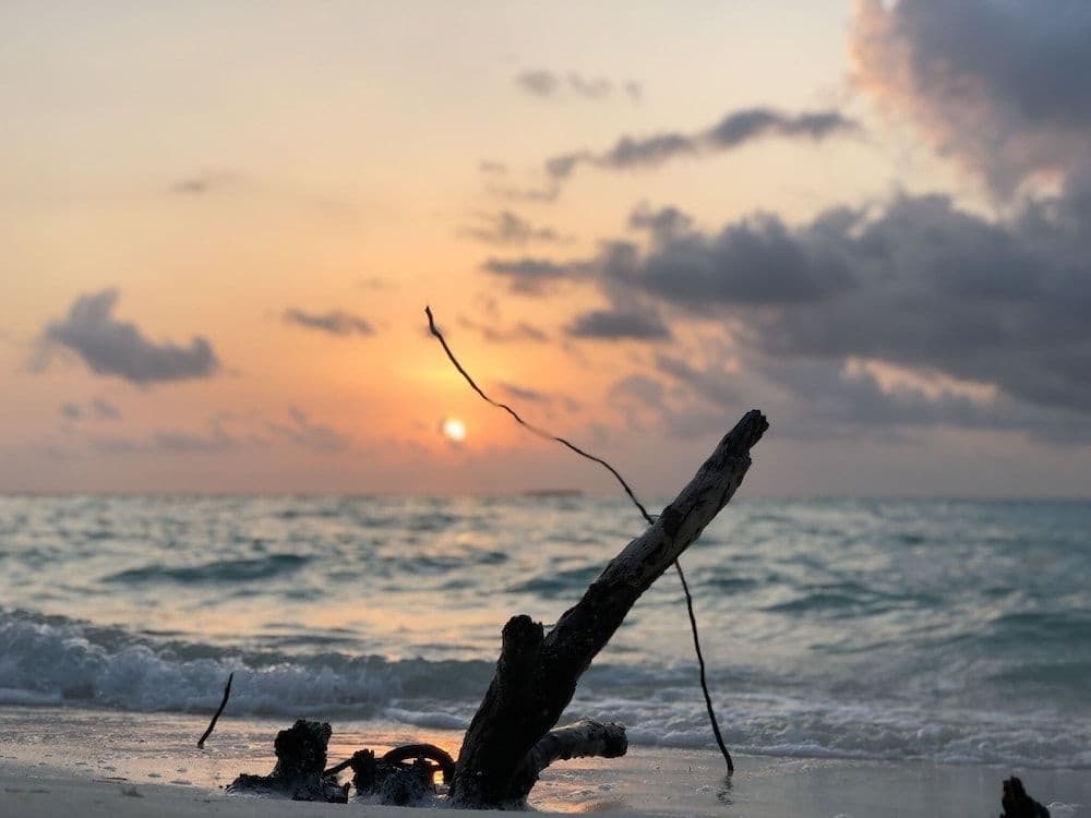 Infinity Dhiffushi - photo 15