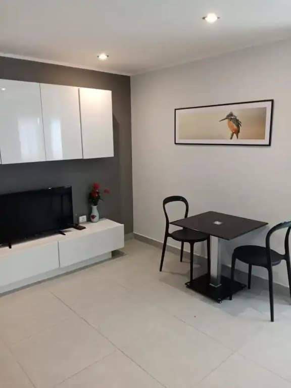 Large Corner Apt-1BR T1 207 - photo 4
