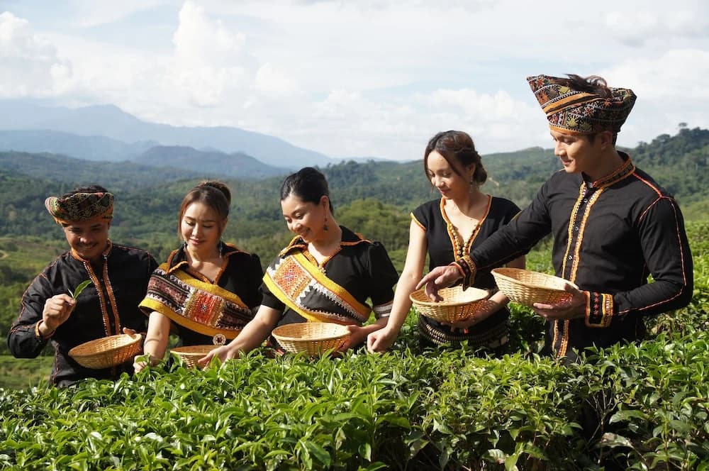 Sabah Tea Resort - photo 23