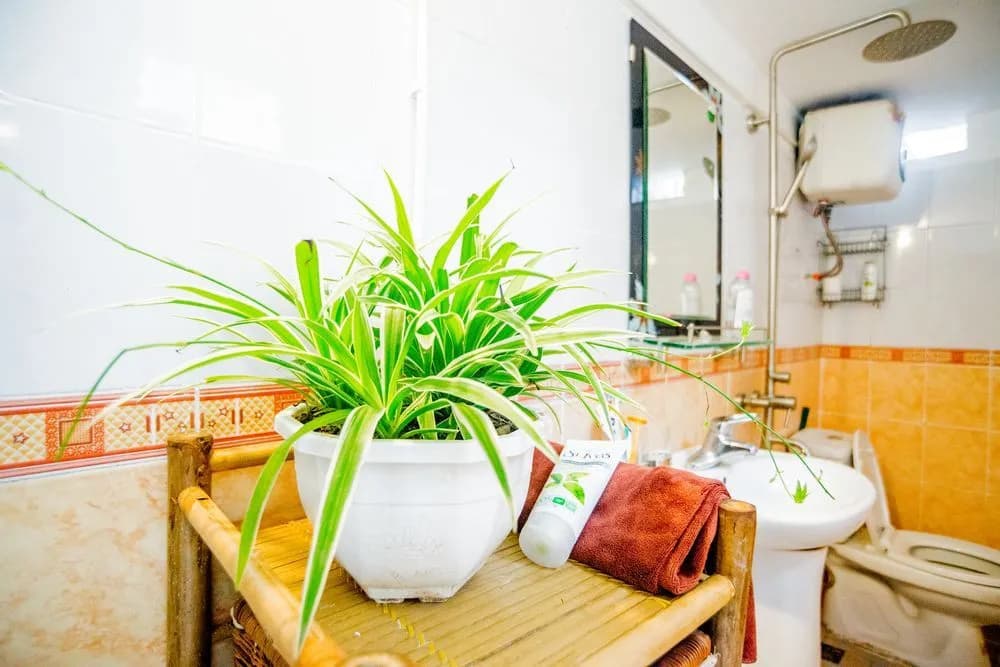 Homestay in Centre Hanoi Hoan Kiem - photo 6