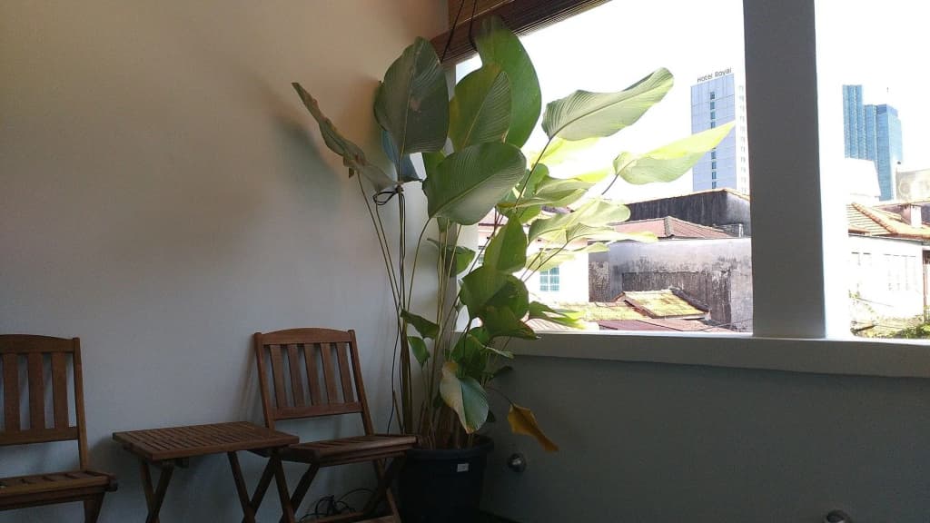 Rangoon Residence - photo 8