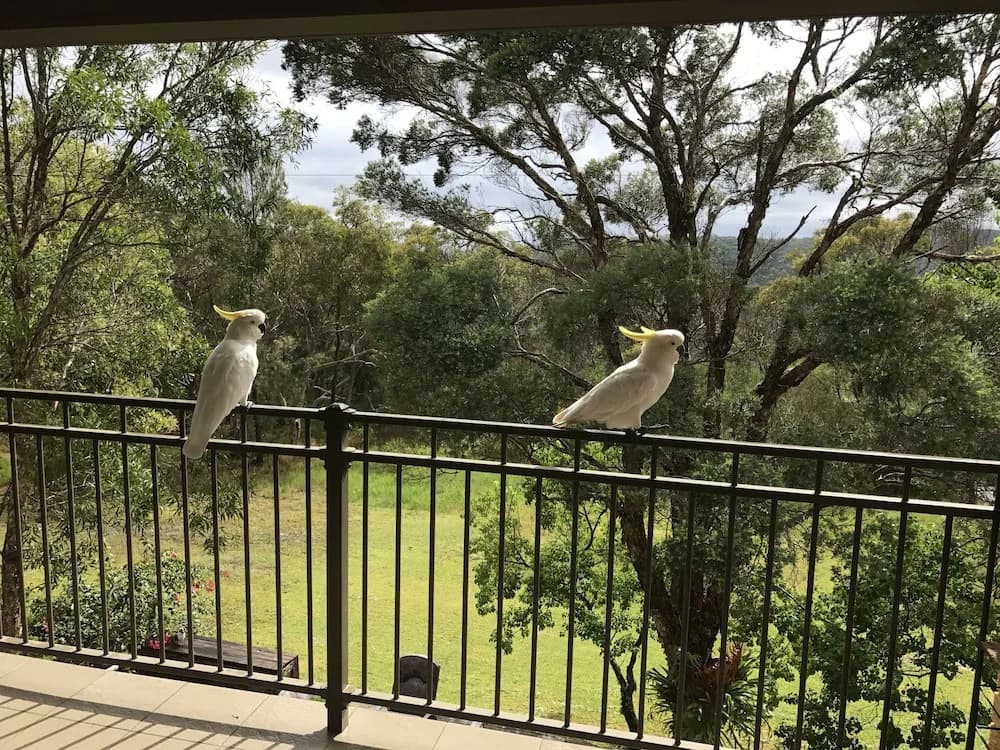 Kookaburra Retreat - photo 14