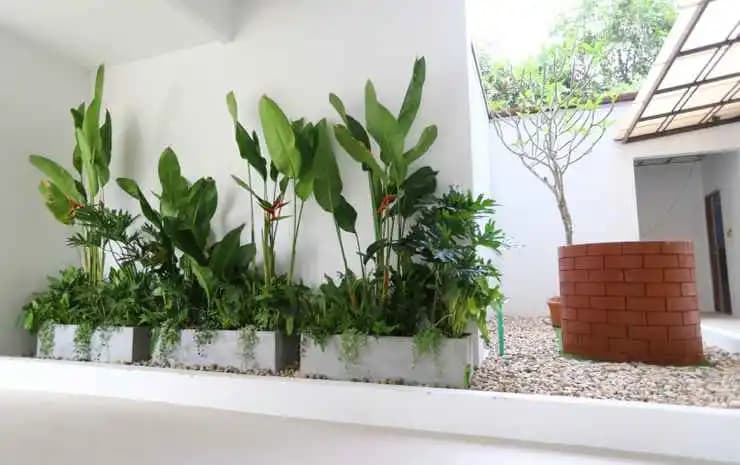 Triple Trees Residence - former Double Tree Residence - photo 8