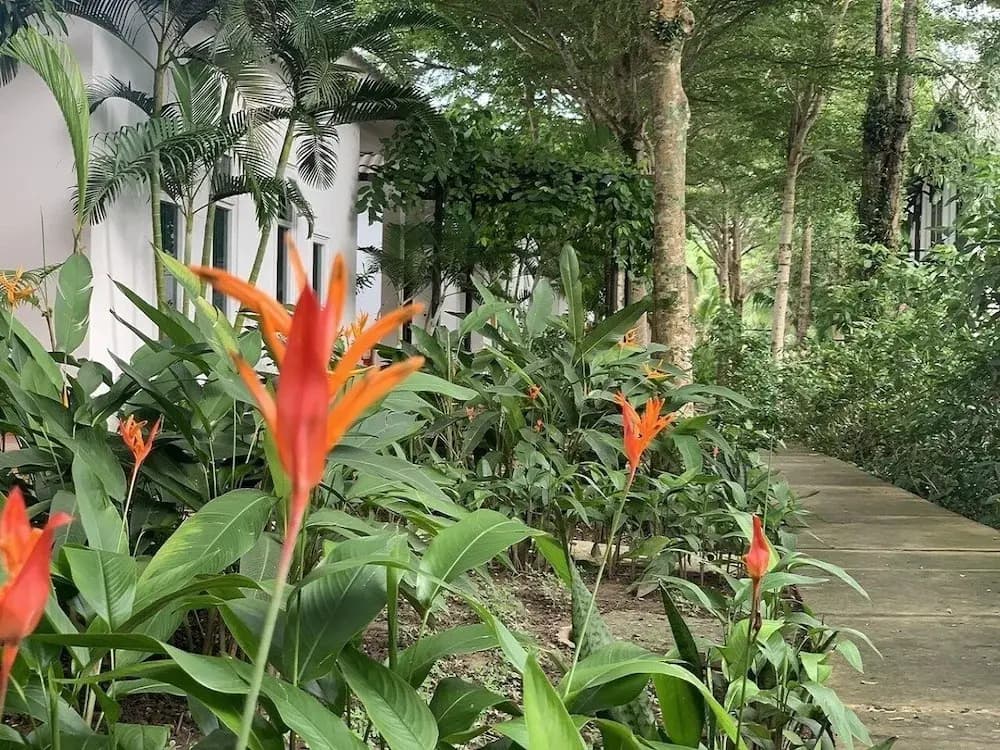 Greenspace Resort Phu Quoc - photo 10
