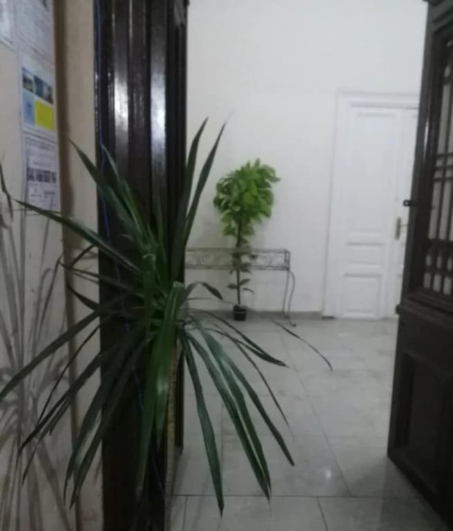 Safary Hotel - photo 14