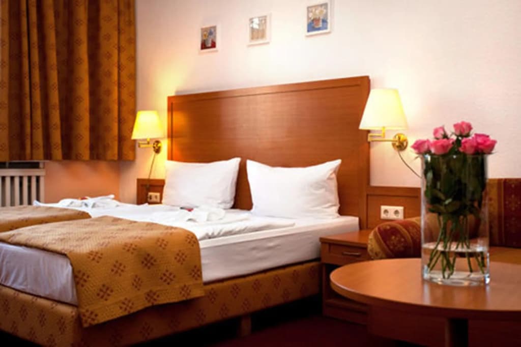 Hotel Aster - photo 4