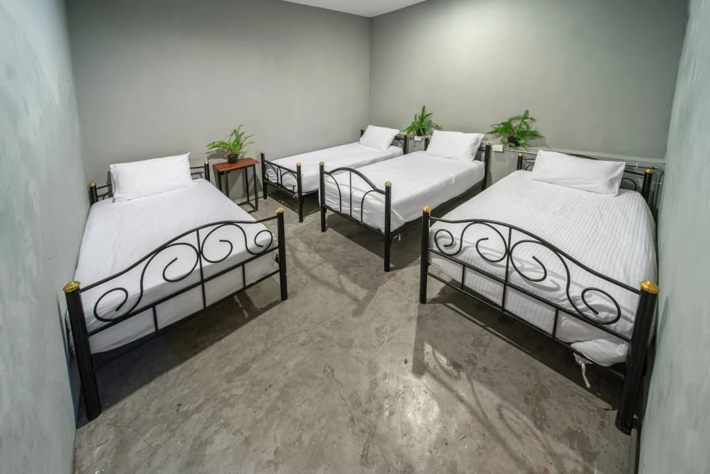 Eclipse Hostel and Bar - photo 3