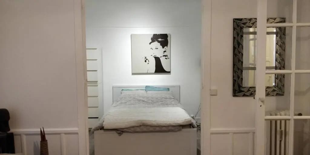 Nice and cozy 1b apartment in the heart of Paris - photo 6