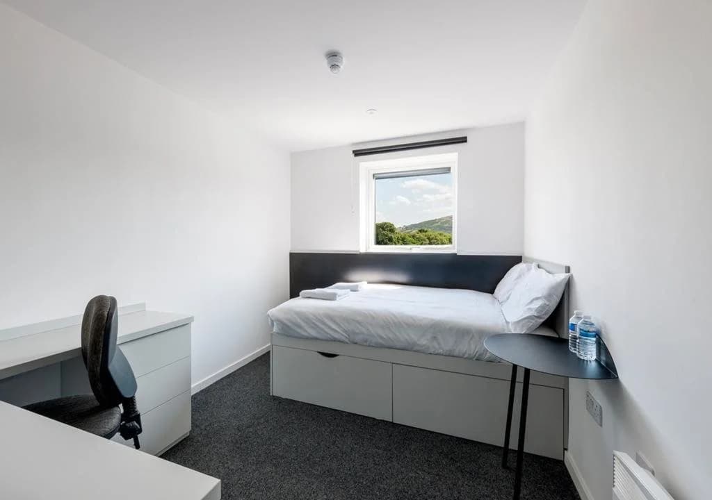 New Park Summer Stays - photo 8