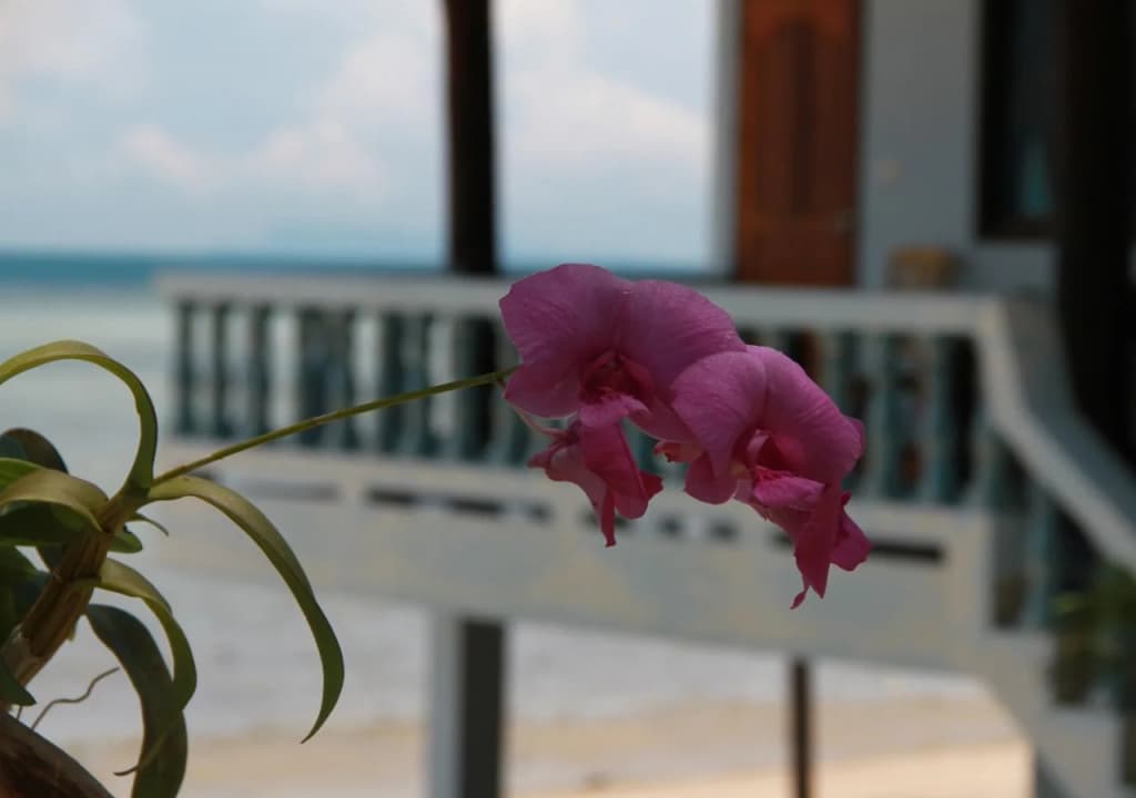 Sun Sea Resort - photo 11