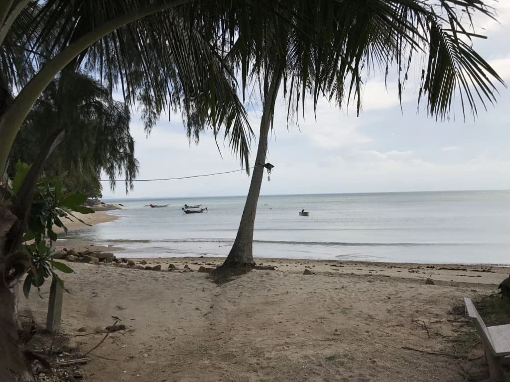 Blue Lotus Resort - photo 13