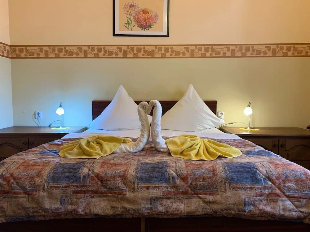 Hotel Victor - photo 3