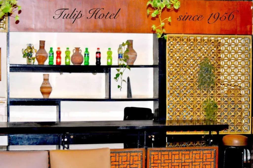 Tulip Hotel - photo 3