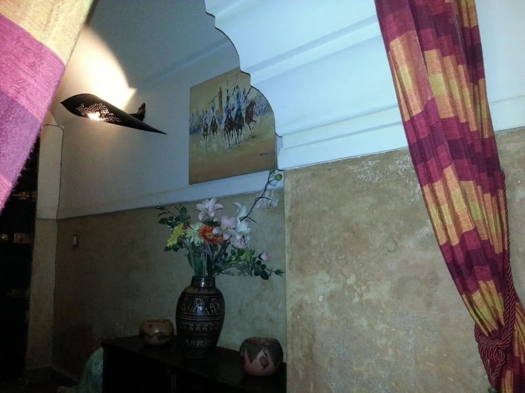 Ryad Noura - photo 11