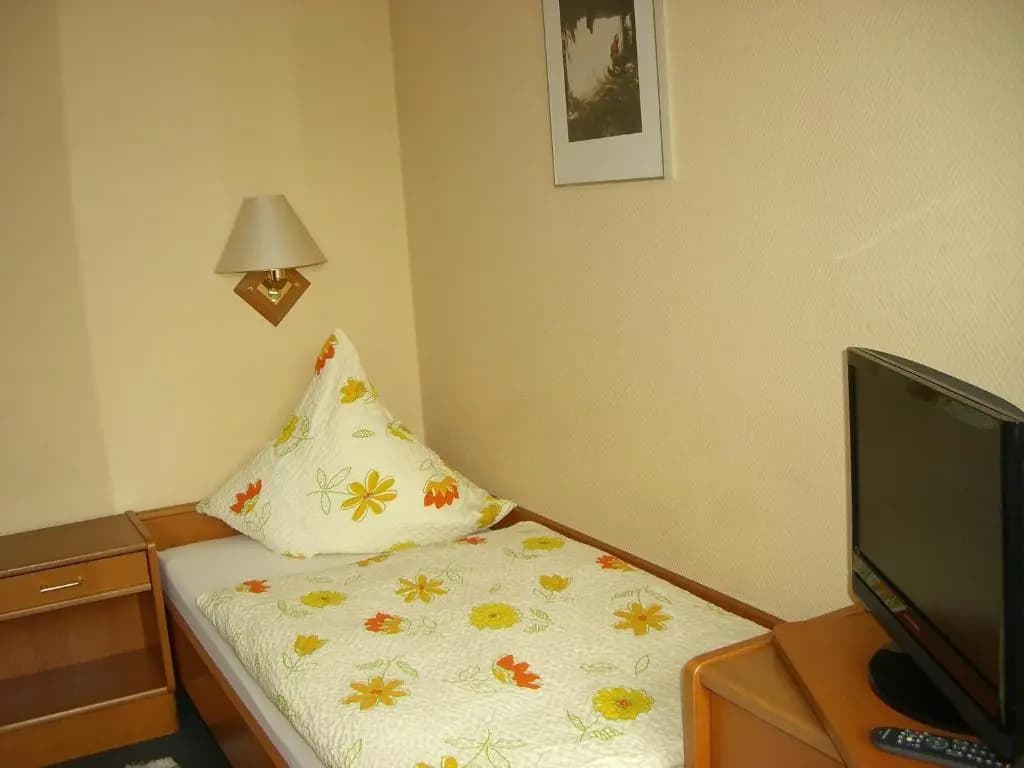 Hotel Gasthof Zum Ziehbrunnen - photo 2