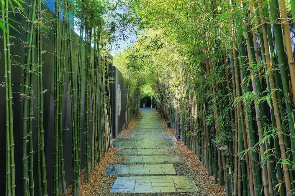 Zen Studio Suite by Holiplanet - photo 12