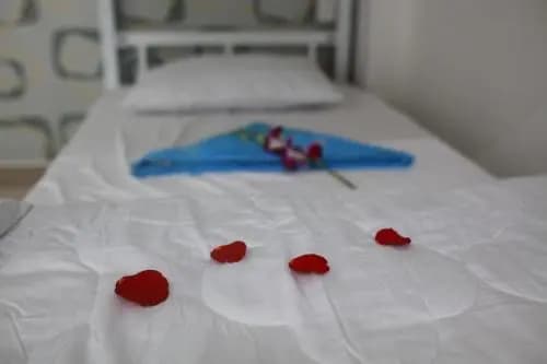 Forever Hostel - photo 12