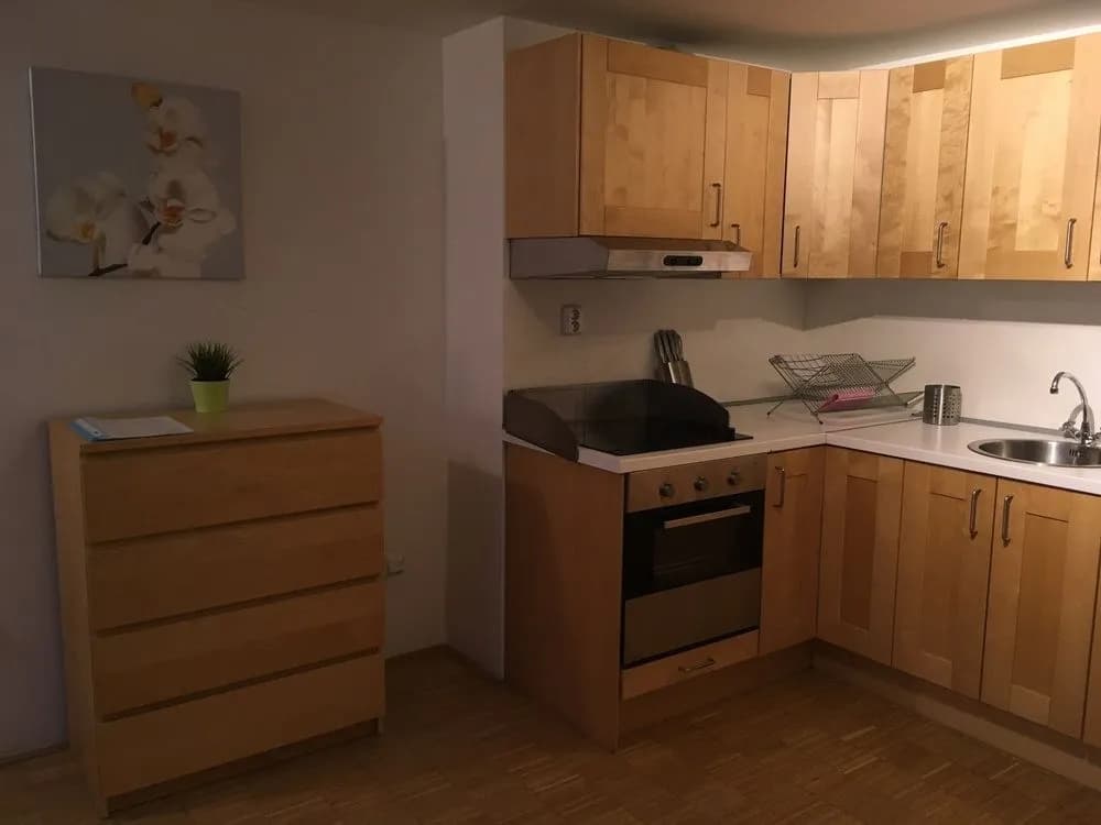 National Museum Apartments - photo 19