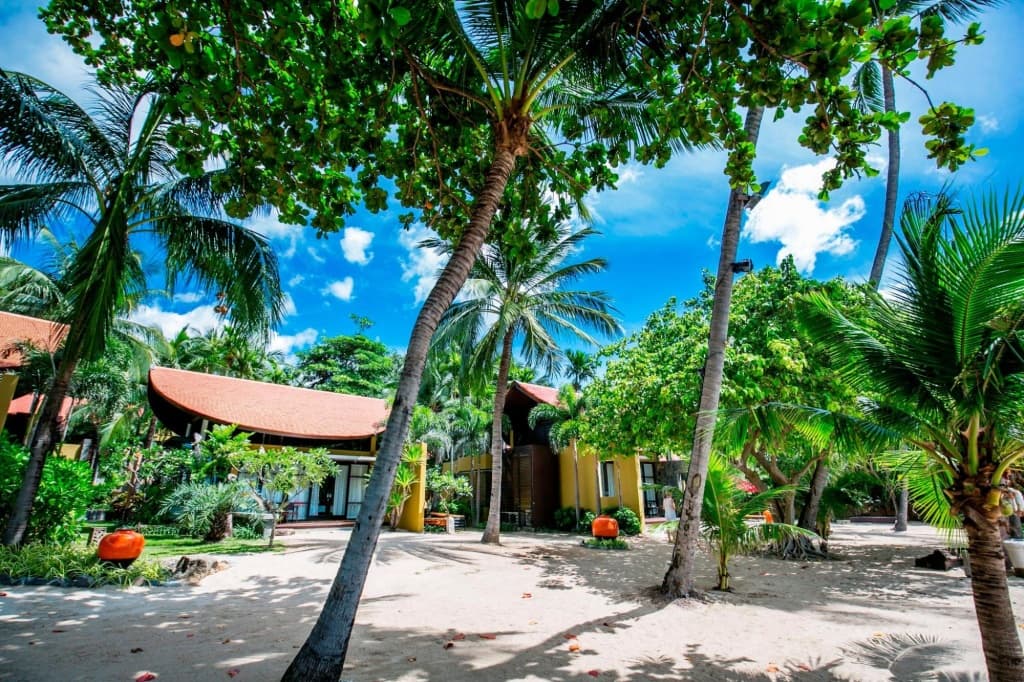 New Star Beach Resort - photo 26