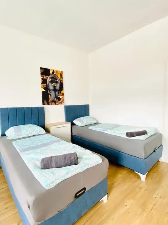 Spacious 4BR for 15 & 15 Min to Danube - photo 28