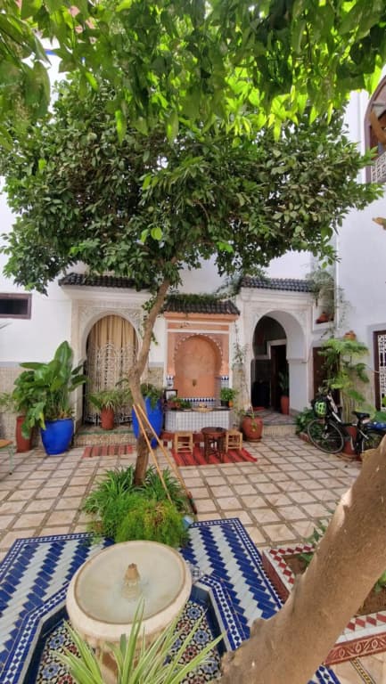Riad Dalia - photo 13