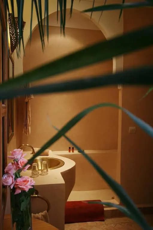 Riad Spa du Chameau - photo 13