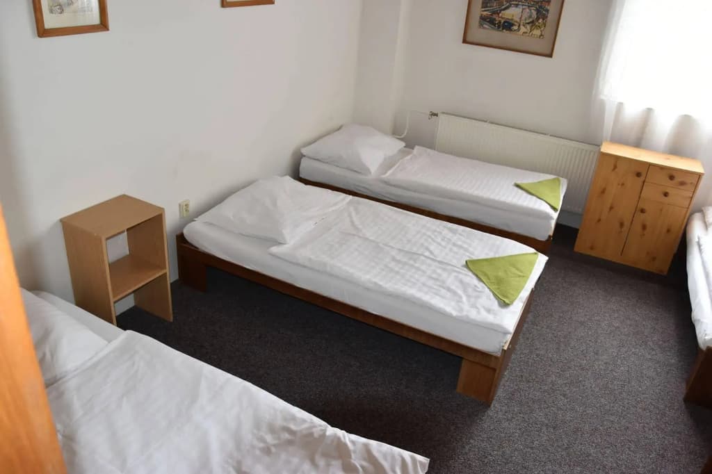 Hotel Alexander - photo 11