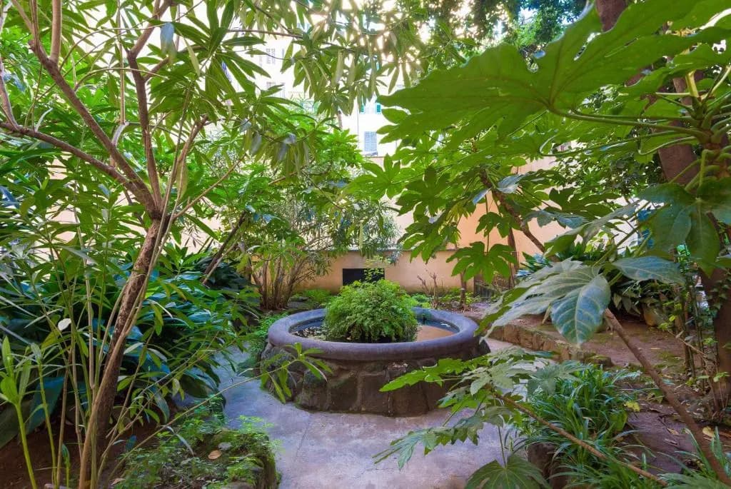 casa satrico - photo 12
