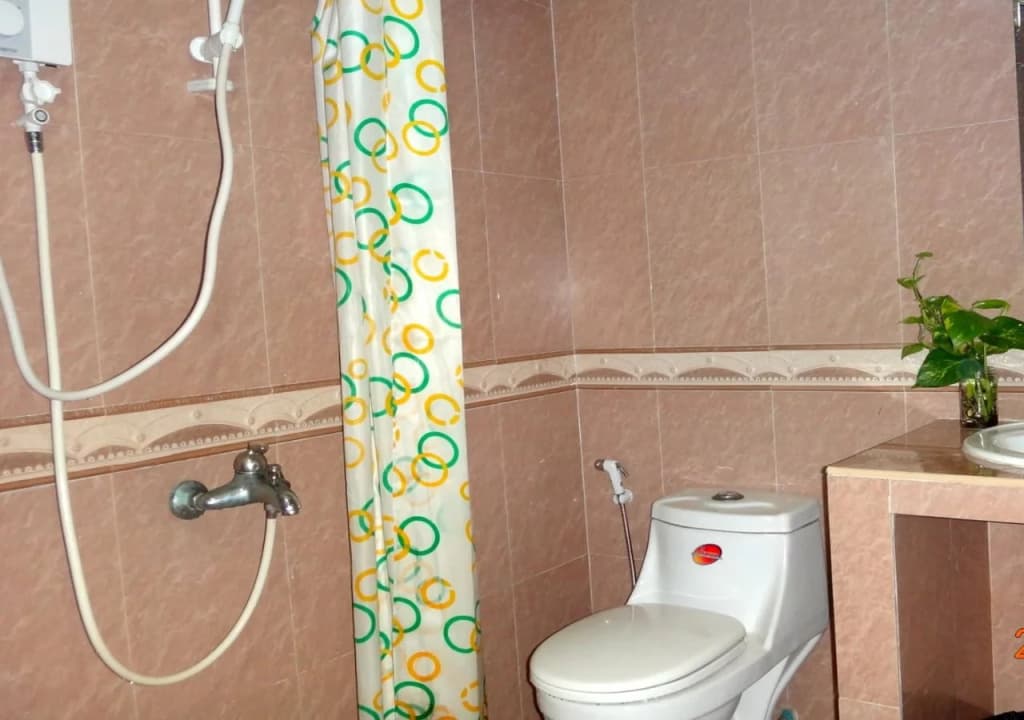 Comfort Guesthouse - photo 7