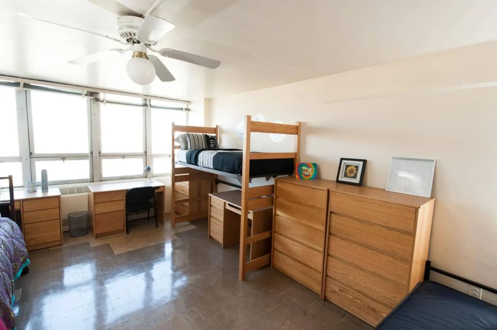 New York City Summer Dorms - photo 3