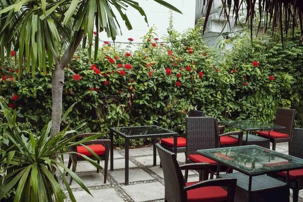 Timeless Hostel - photo 14