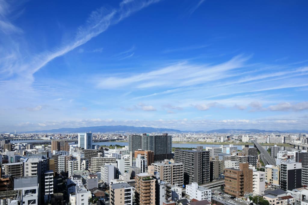 The Westin Osaka - photo 24