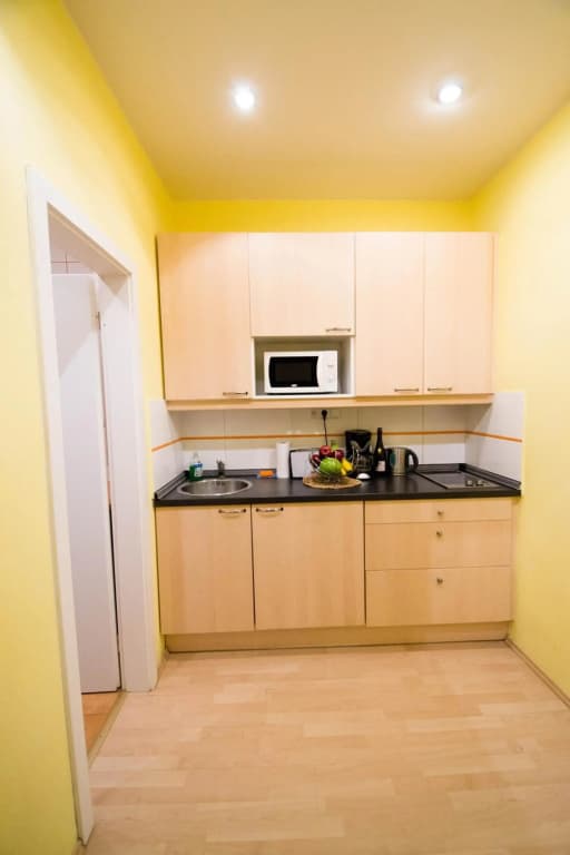 Ruterra Apartment Cimburkova - photo 45