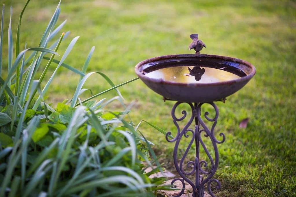 The Heart of Emerald Bed & Breakfast - photo 43