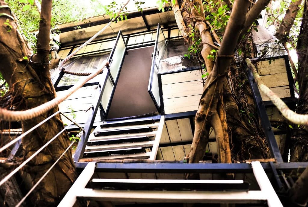 Dao Anh Khanh Treehouse - photo 13