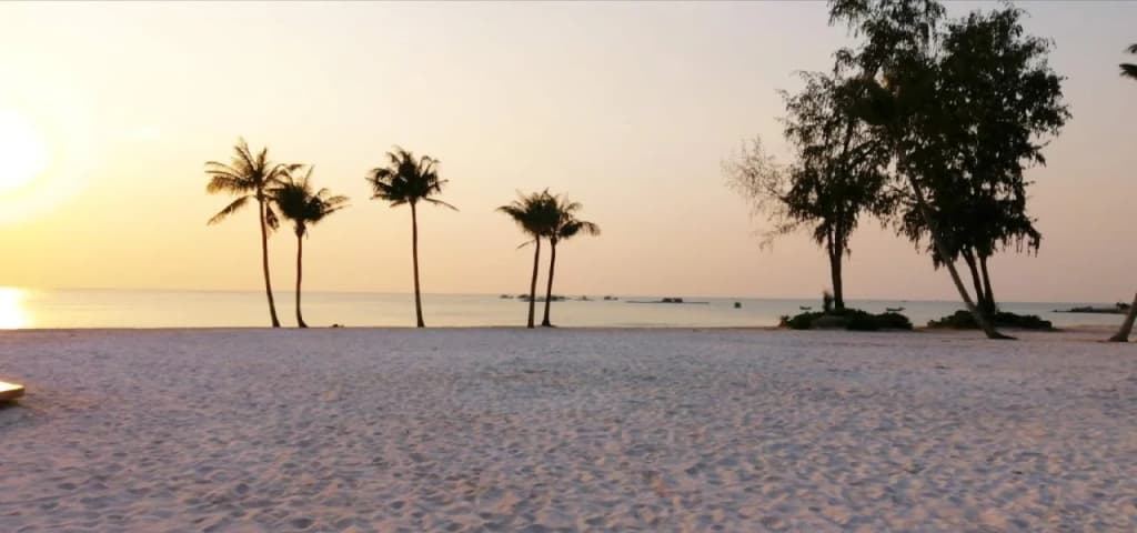 T&T Resort And Spa - photo 17