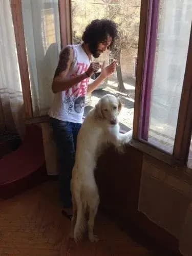 Valdi Hostel Tbilisi - photo 21